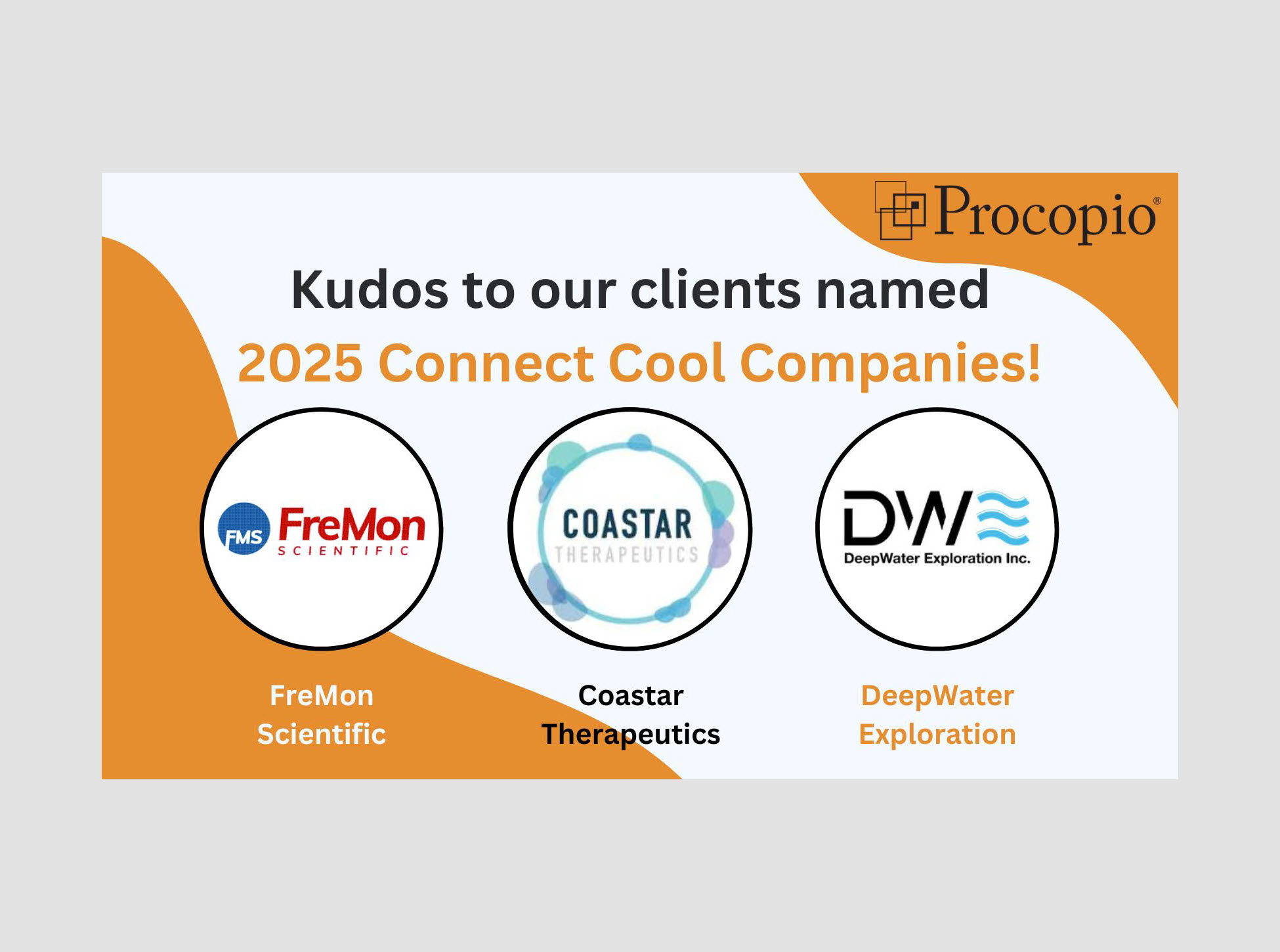 3 Procopio Clients Named 2025 Cool Companies by Connect - Procopio ...