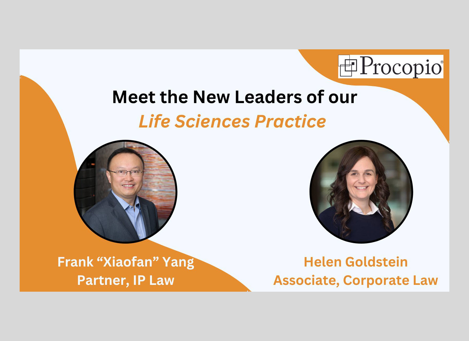 Award-Winning IP and Corporate Attorneys New Leaders of Procopio’s ...
